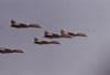 F-14 Squadron in flight