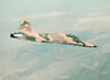 IIAF F-5F