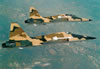F-5E and F-5F
